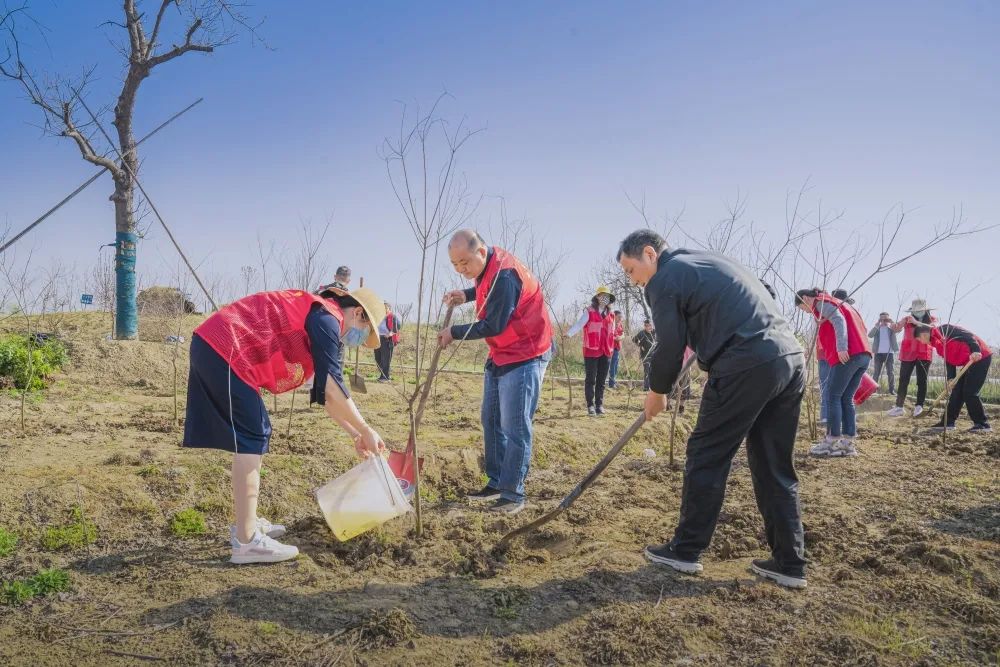 肥西县检察院开展“主题党日+义务植树”共建“生态绿”